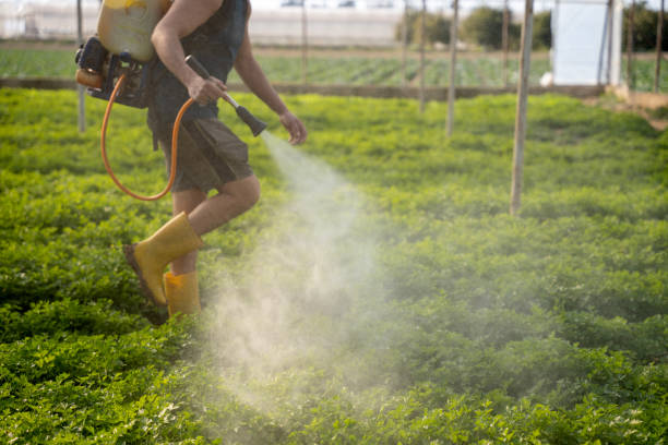 Best Mosquito Control Services  in Woods Cross, UT