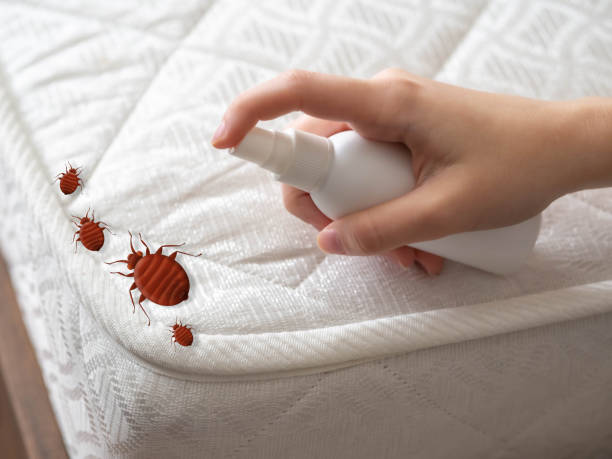 Best Residential Pest Control  in Woods Cross, UT