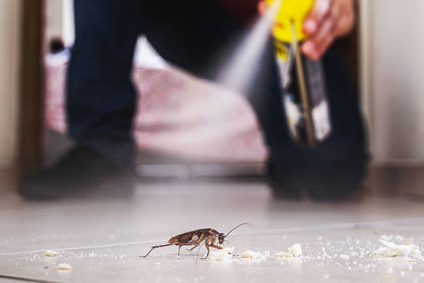 Best Emergency Pest Control  in Woods Cross, UT