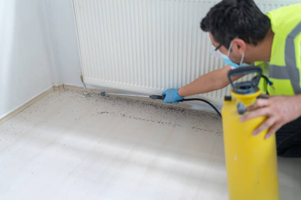 Flea Control Services in Woods Cross, UT