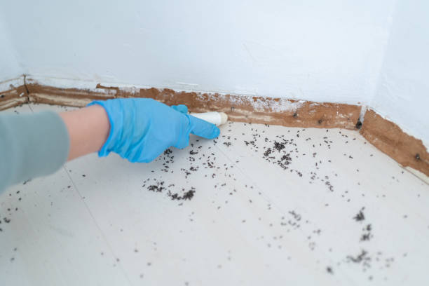 Best Wildlife Control Services  in Woods Cross, UT